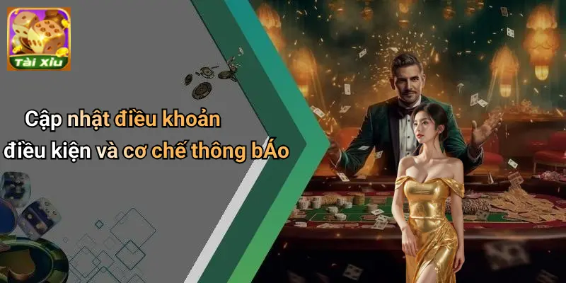 Điều Khoản Điều Kiện