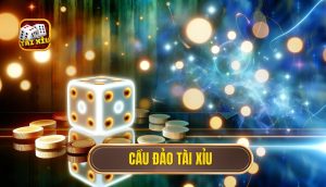 cầu đảo tài xỉu