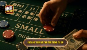 cách đặt cược và tính tiền trong tài xỉu