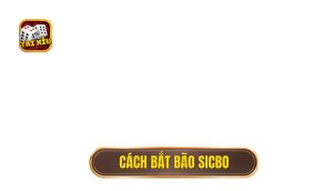 cách bắt bão sicbo