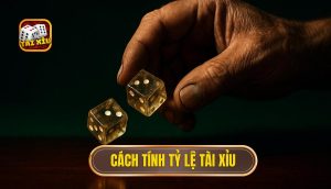 cách tính tỷ lệ tài xỉu