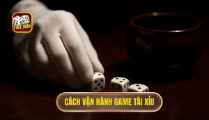 cách vận hành game tài xỉu