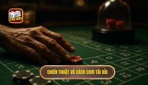 chiến thuật và cách chơi tài xỉu