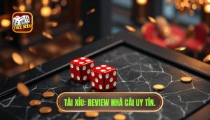Review nhà cái tài xỉu uy tín 2024 - Bí kíp chọn sảnh cược chuẩn