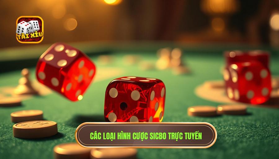  Các loại hình cược Sicbo trực tuyến