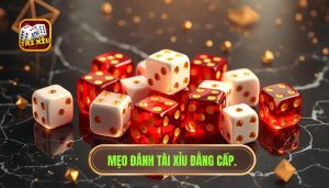 Mẹo đánh Tài Xỉu đẳng cấp.