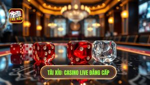 TÀI XỈU_ Casino Live Đẳng Cấp