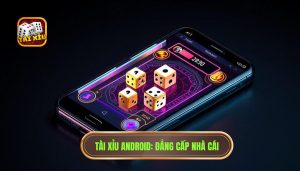Tài Xỉu Android_ Đẳng Cấp Nhà Cái